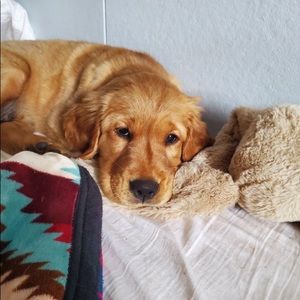 Meet your Posher, Christy